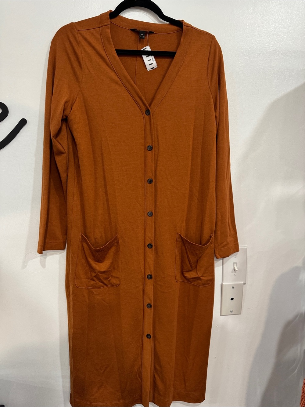 Banana Republic Long-Sleeve Button-Front Dress in Rust Brown